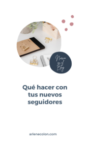 seguidores nuevos