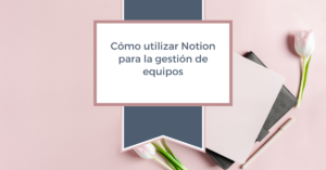 Notion